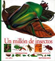 UN MILLON DE INSECTOS | 9788434852051 | ALBOUY, VICENT/DE SAIRIGNé-BON, CATHERINE