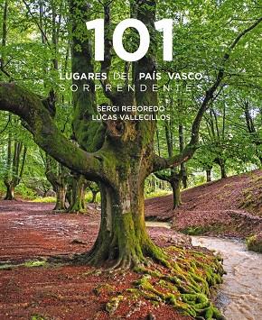 101 DESTINOS DEL PAÍS VASCO SORPRENDENTES | 9788491586913 | REBOREDO MANZANARES, SERGI / VALLECILLOS, LUCAS