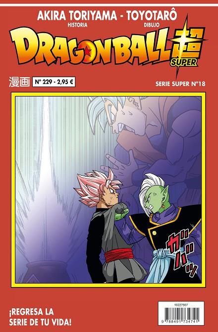 DRAGON BALL SERIE ROJA Nº 229 | 9788491734741 | TORIYAMA, AKIRA