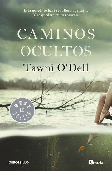 CAMINOS OCULTOS | 9788490325353 | O'DELL,TAWNI