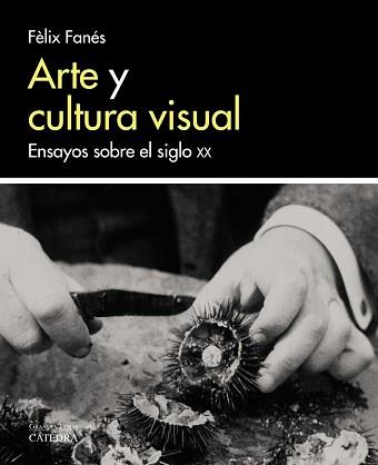 ARTE Y CULTURA VISUAL | 9788437638058 | FANéS, FèLIX