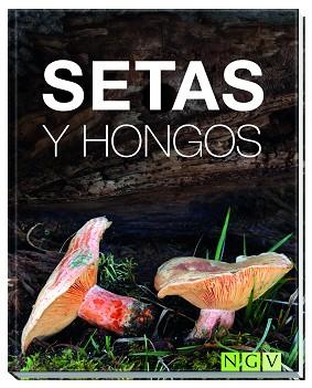 SETAS Y HONGOS | 9783869417776 | KOTHE, HANS W.