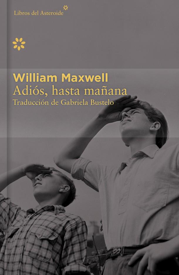 ADIÓS, HASTA MAÑANA - COLECCIÓN DÉCIMO ANIVERSARIO | 9788416213405 | MAXWELL, WILLIAM