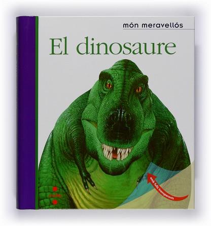 DINOSAURE | 9788466120944 | GALLIMARD JEUNESSE