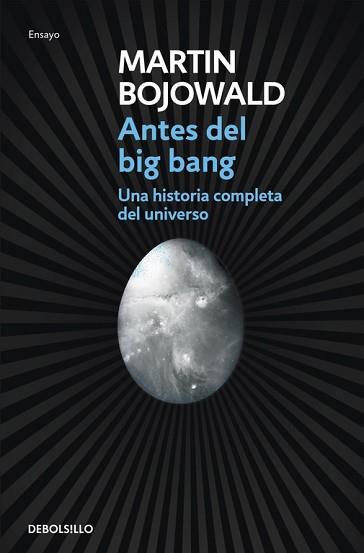 ANTES DEL BIG BANG | 9788499087917 | BOJOWALD,MARTIN