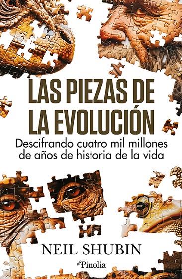 LAS PIEZAS DE LA EVOLUCIÓN | 9788419878649 | NEIL SHUBIN