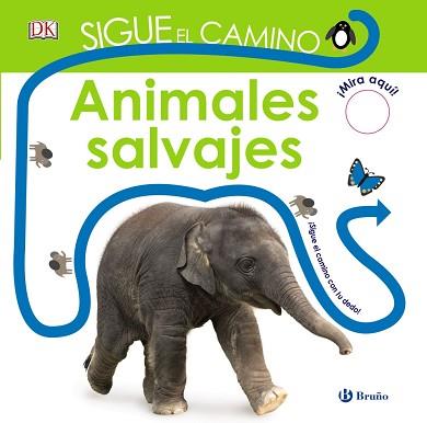 SIGUE EL CAMINO. ANIMALES SALVAJES | 9788469621677 | SIRETT, DAWN