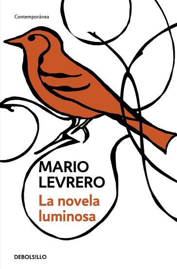 NOVELA LUMINOSA,LA | 9788499080260 | VARLOTTA LEVRERO,JORGE MARIO