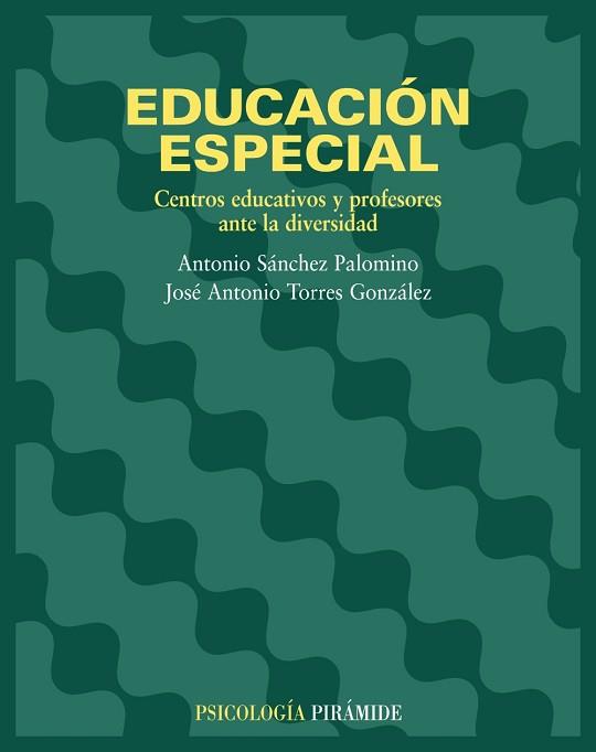 EDUCACION ESPECIAL | 9788436816501 | SANCHEZ PALOMINO