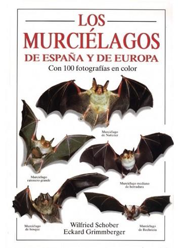 MURCIELAGOS DE ESPA¥A Y DE EUROPA, LOS | 9788428210140 | SCHOBER, WILFRIED