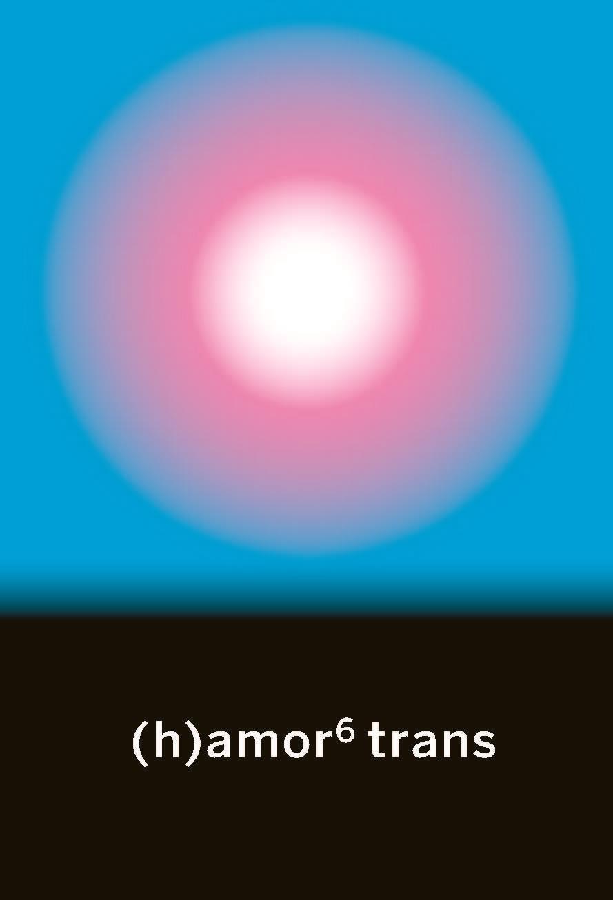 (H)AMOR 6 TRANS | 9788412276022 | VV.AA.