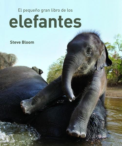 PEQUEÑO GRAN LIBRO ELEFANTES | 9788497543057 | BLOOM, STEVE