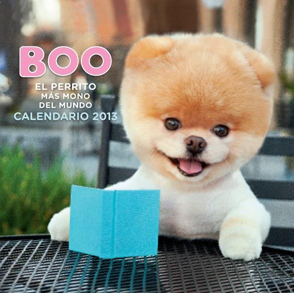 CALENDARIO BOO. EL PERRITO MAS MONO DEL MUNDO 2013 | 9788448005313 | AA. VV.