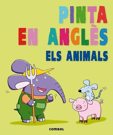 PINTA EN ANGLES | 9788498258929