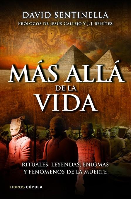 MAS ALLA DE LA VIDA | 9788448069049 | DAVID SENTINELLA