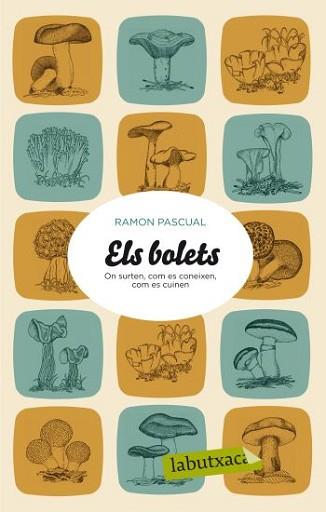 ELS BOLETS | 9788499301501 | PASCUAL, RAMON