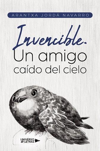 INVENCIBLE. UN AMIGO CAÍDO DEL CIELO | 9788419613417 | ARANTXA JORDÁ NAVARRO