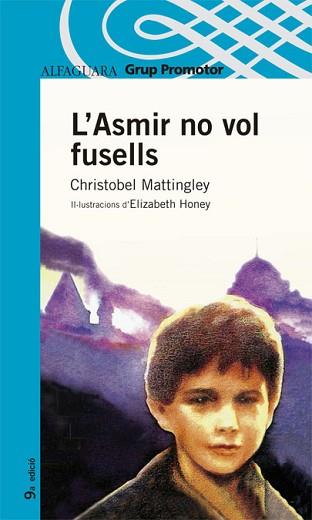 ASMIR NO VOL FUSELLS, L´ | 9788484355137 | MATTINGLEY, CHRISTOBEL