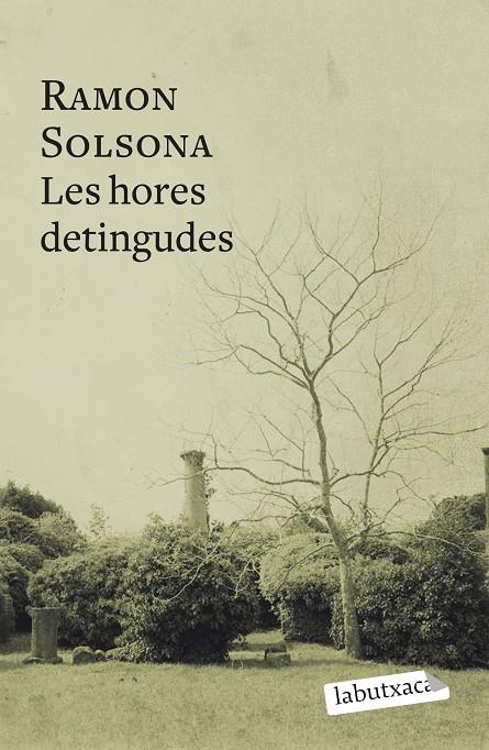 LES HORES DETINGUDES | 9788499302768 | RAMON SOLSONA