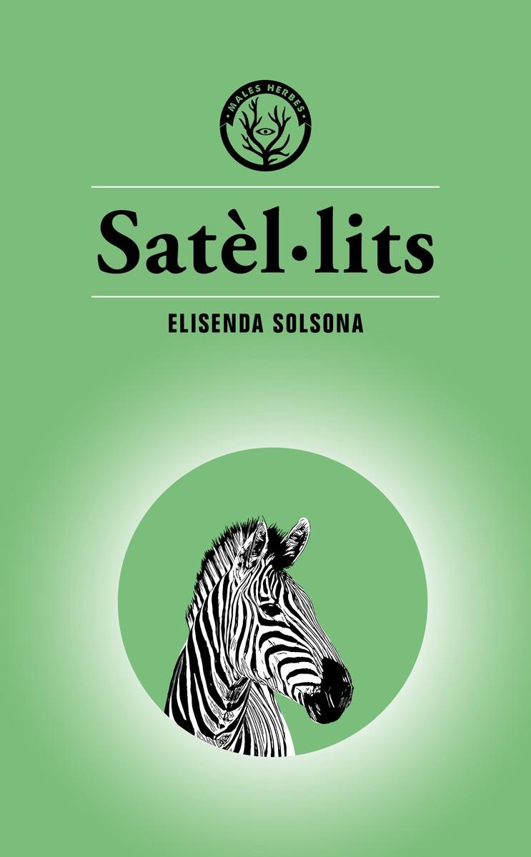 SATÈL·LITS | 9788494917073 | SOLSONA MARGARIT, ELISENDA