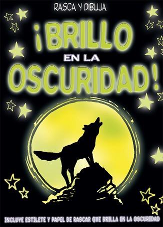 BRILLO EN LA OSCURIDAD | 9788423695980 | EDEBÉ, OBRA COLECTIVA