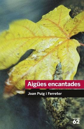 AIGÜES ENCANTADES | 9788492672431 | JOAN PUIG FERRETER