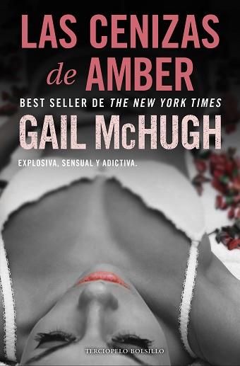 LAS CENIZAS DE AMBER | 9788494616808 | MCHUGH, GAIL