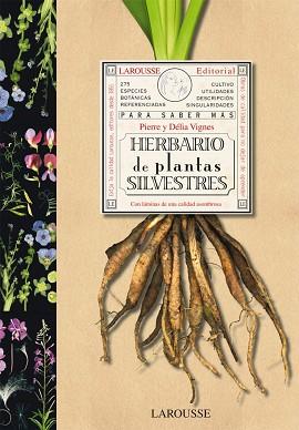 HERBARIO DE PLANTAS SILVESTRES | 9788480168762 | -