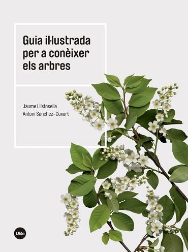 GUIA IL·LUSTRADA PER A CONÈIXER ELS ARBRES | 9788447542444 | LLISTOSELLA VIDAL, JAUME/SÀNCHEZ CUXART, ANTONI