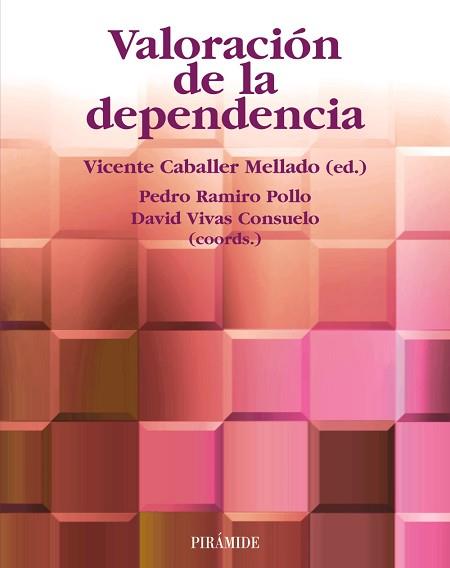 VALORACIÓN DE LA DEPENDENCIA | 9788436822052 | CABALLER MELLADO, VICENTE