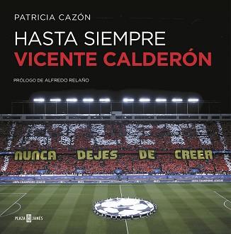 HASTA SIEMPRE, VICENTE CALDERóN | 9788401019821 | PATRICIA CAZóN