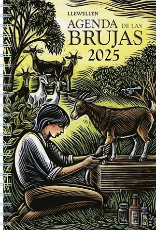 2025 AGENDA DE LAS BRUJAS | 9788411721509 | LLEWELLYN