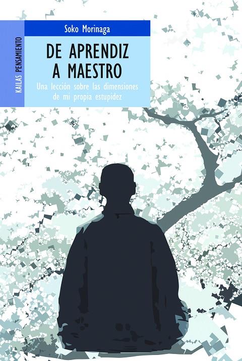 DE APRENDIZ A MAESTRO | 9788493449179 | MORINAGA, SOKO