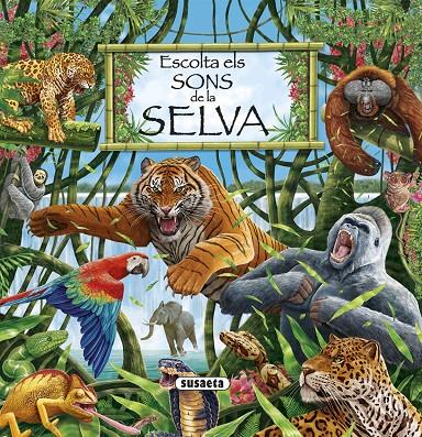 ESCOLTA ELS SONS DE LA SELVA | 9788411962360 | SUSAETA, EQUIP