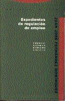 EXPEDIENTES DE REGULACION DE EMPLEO | 9788487699801 | FERNáNDEZ DOMíNGUEZ, JUAN JOSé