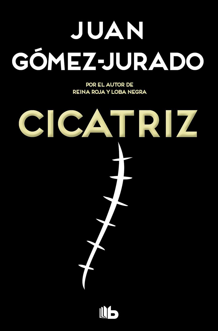 CICATRIZ | 9788413142449 | GÓMEZ-JURADO, JUAN