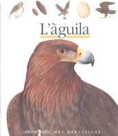 AGUILA, L` | 9788476298220 | GALLIMARD JEUNESSE, ÉDITIONS