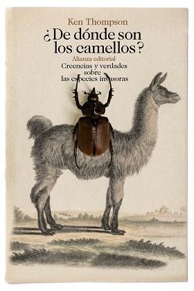 ¿DE DÓNDE SON LOS CAMELLOS? | 9788491043485 | THOMPSON, KEN