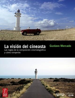 LA VISIÓN DEL CINEASTA | 9788441529243 | MERCADO, GUSTAVO