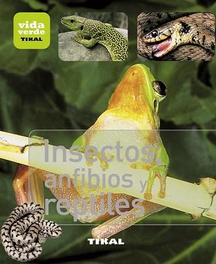 INSECTOS,ANFIBIOS Y REPTILES | 9788499281377 | VV AA