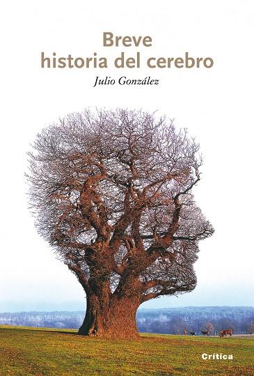 BREVE HISTORIA DEL CEREBRO | 9788498921151 | JULIO GONZALEZ ALVAREZ